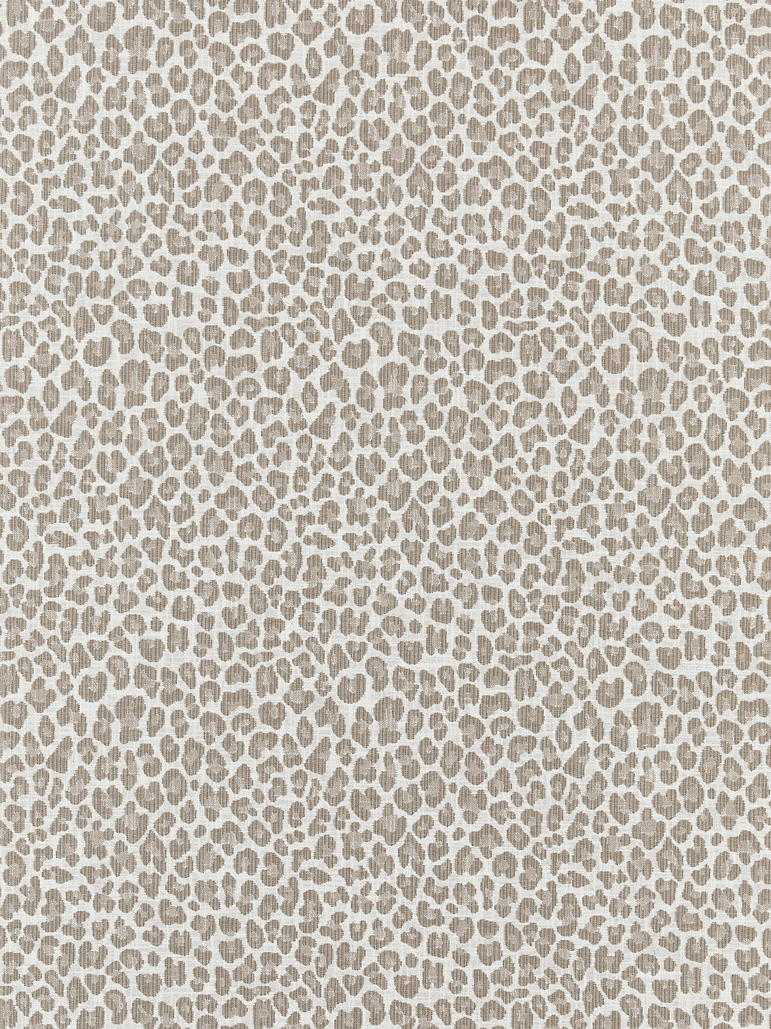 Backyard Bengal - Limestone - Scalamandre Fabric