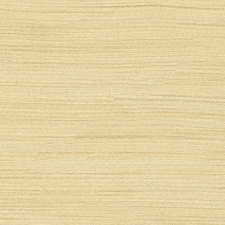 Less - Beige - Scalamandre Fabric