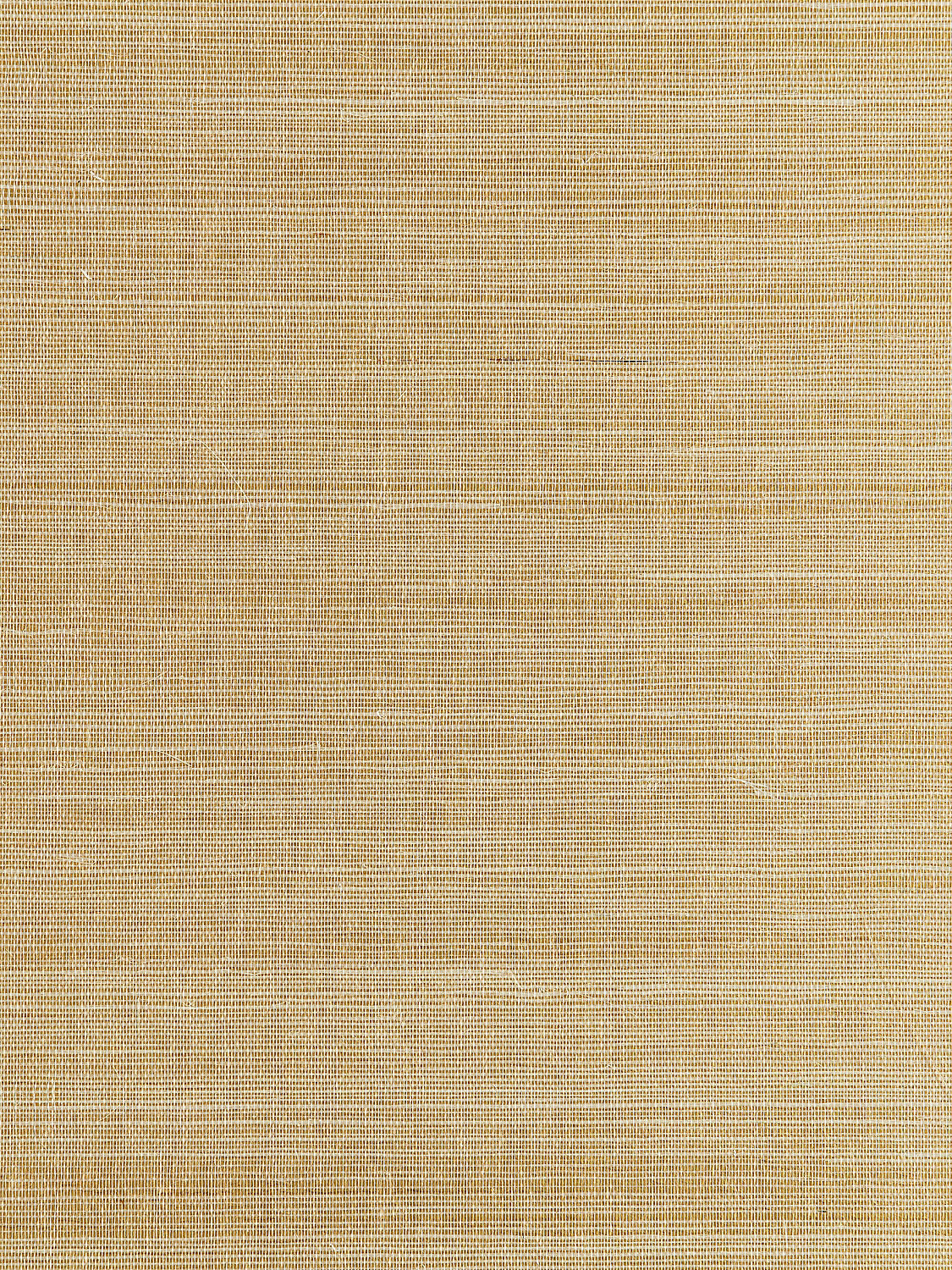 Metal Sisal - White Gold - Scalamandre Wallpaper