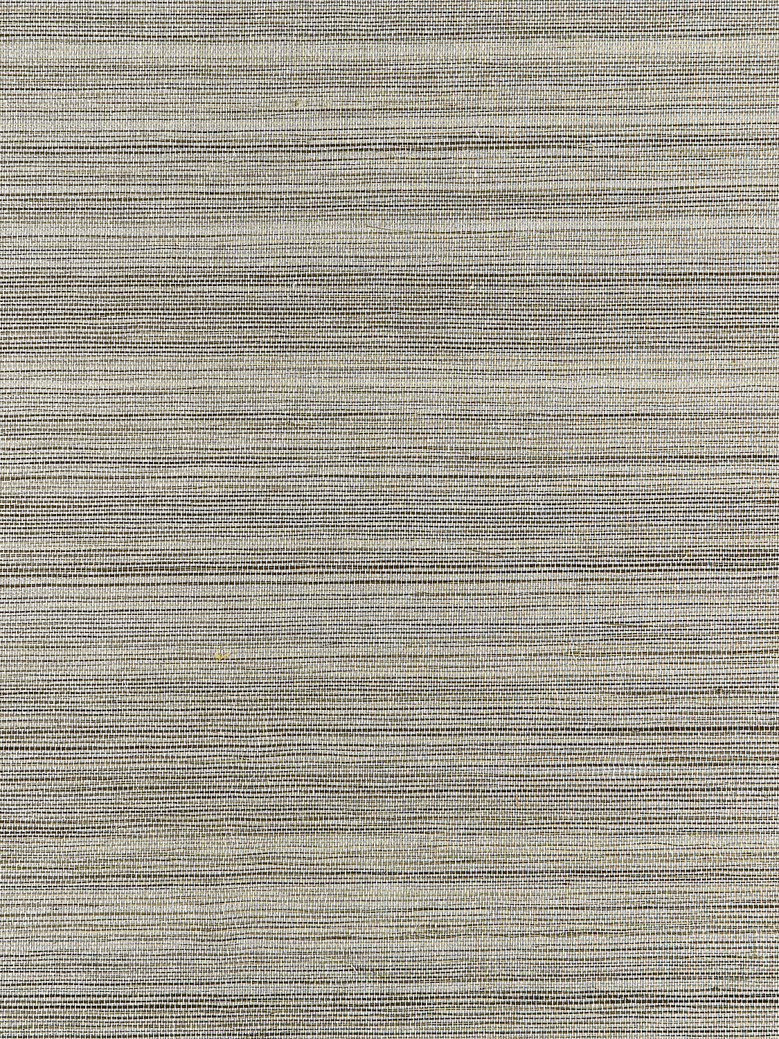 Strie Sisal - Glacier - Scalamandre Wallpaper