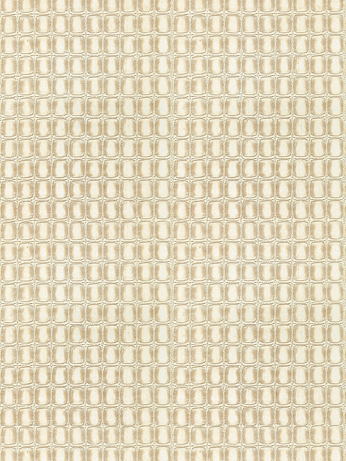 Tortoiseshell - Champagne