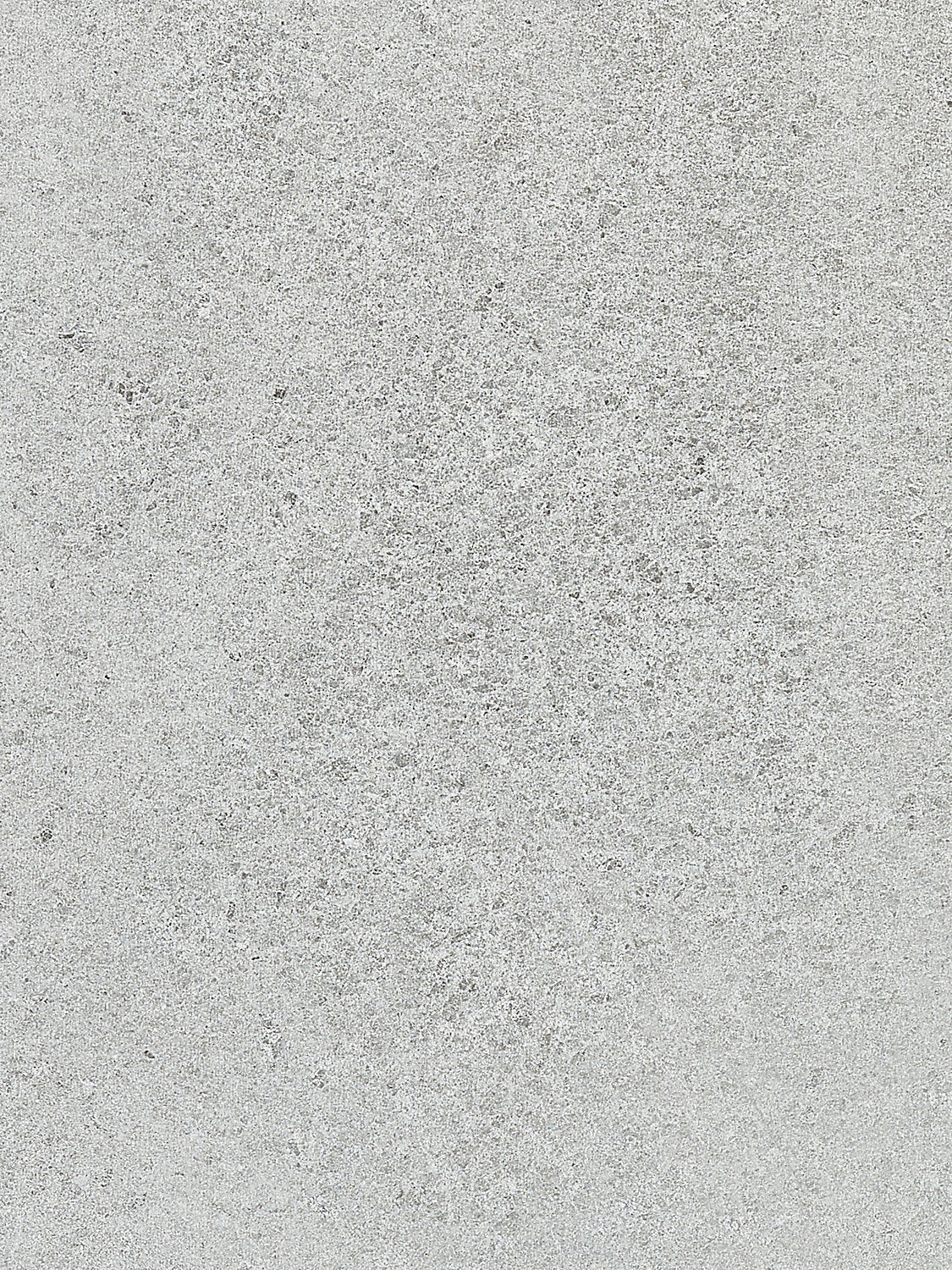 Majestry - Silver - Scalamandre Wallpaper