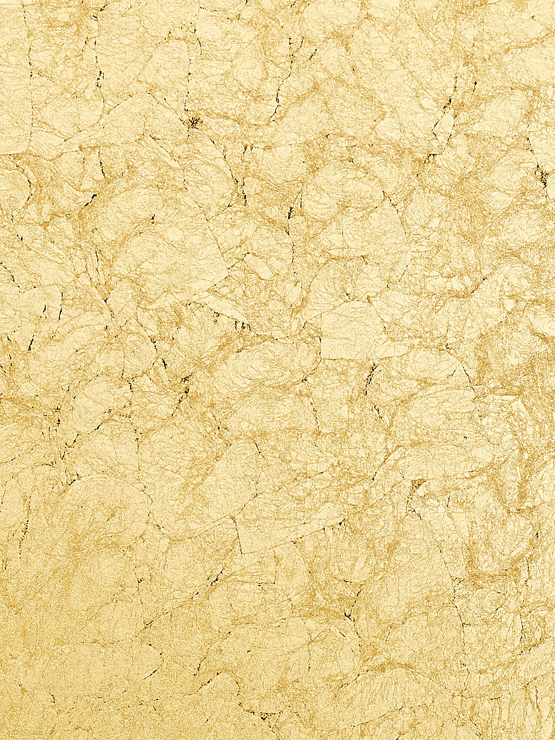 Treasury - Gold - Scalamandre Wallpaper