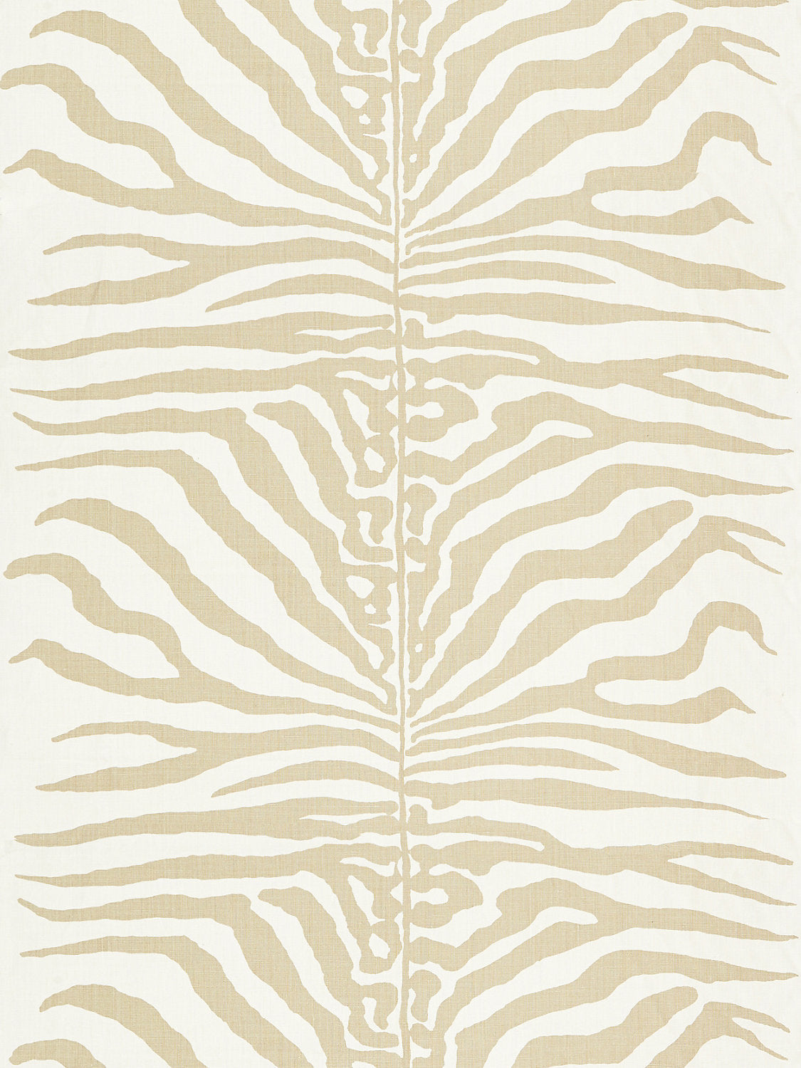 Zebra - Sahara