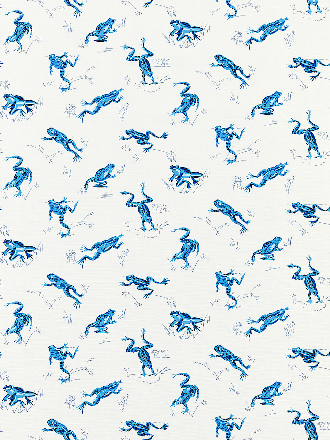 Calabasas County | Outdoor - Creek - Scalamandre Fabric