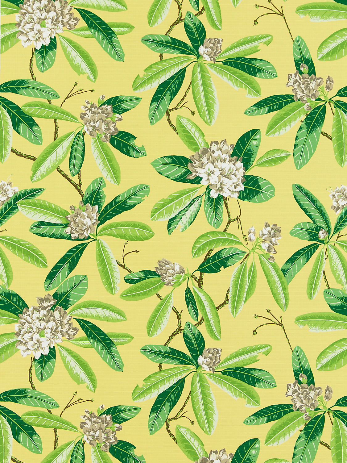 Rhododendron | Outdoor - Pineapple - Scalamandre Fabric