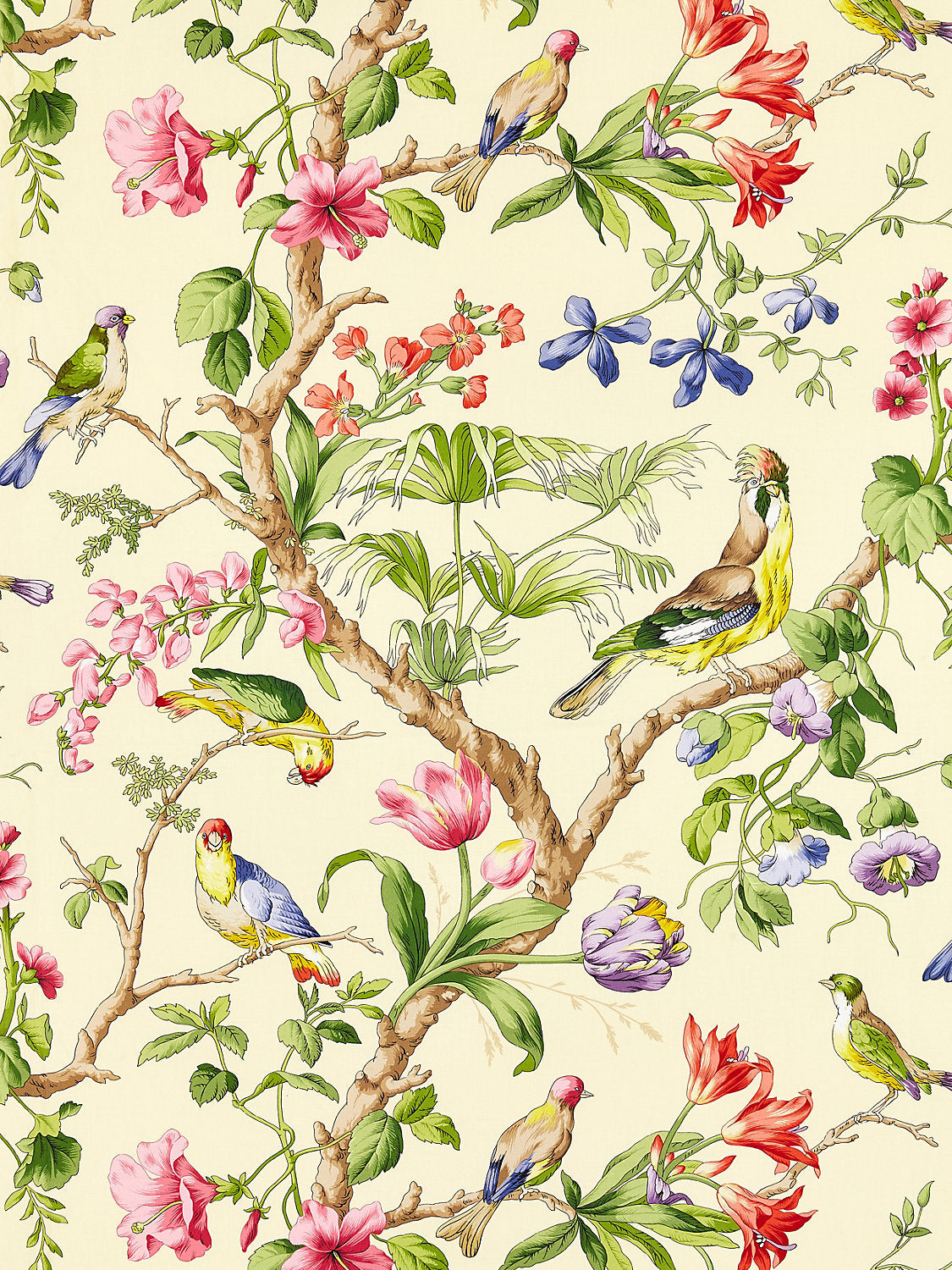 Belize Print - Sunlit - Scalamandre Fabric