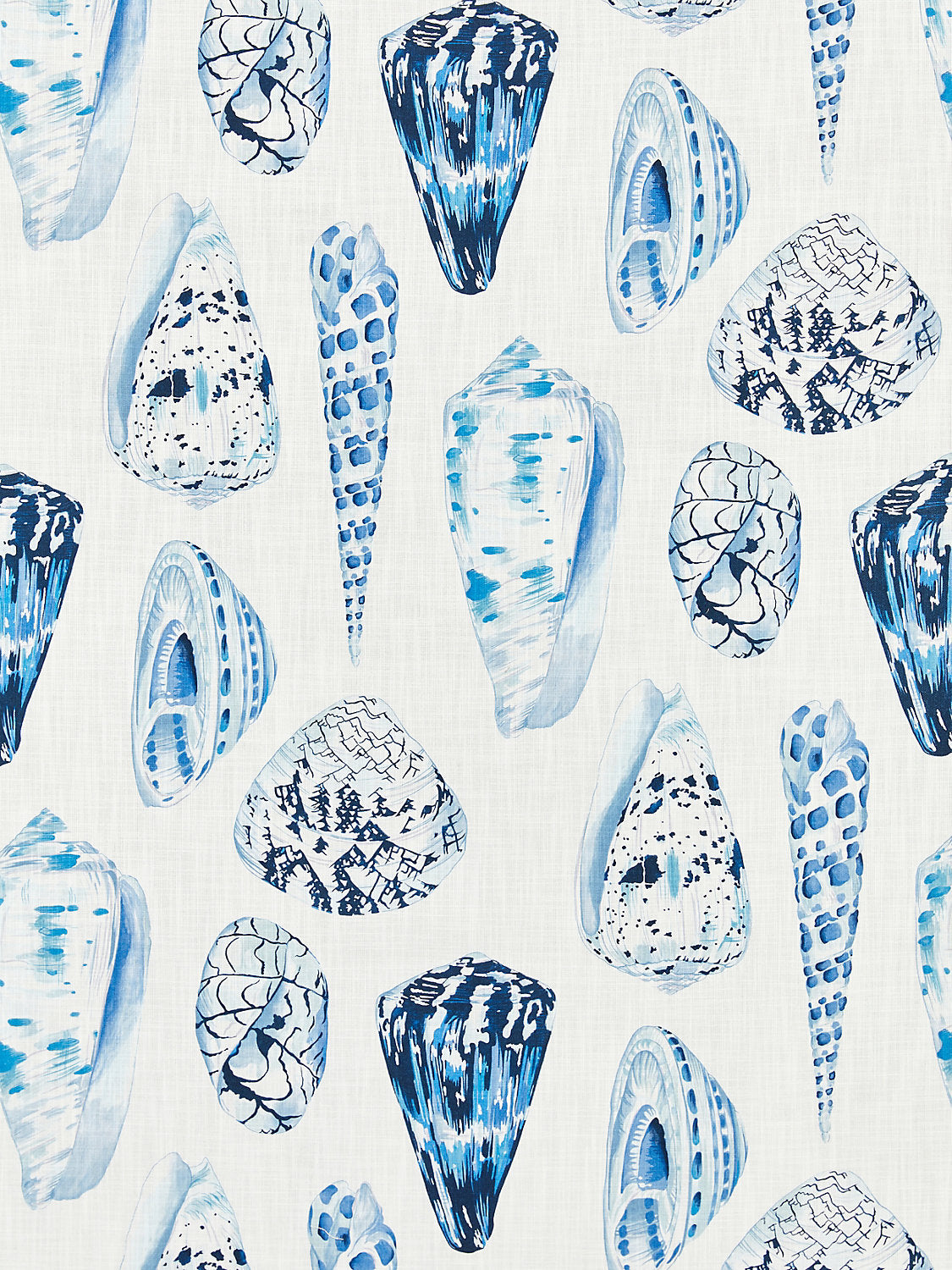 Coquina | Outdoor - Porcelain