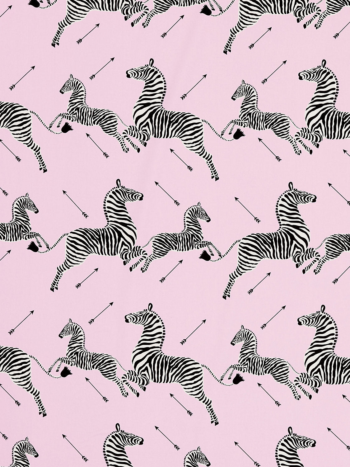 Zebras Petite - Peony