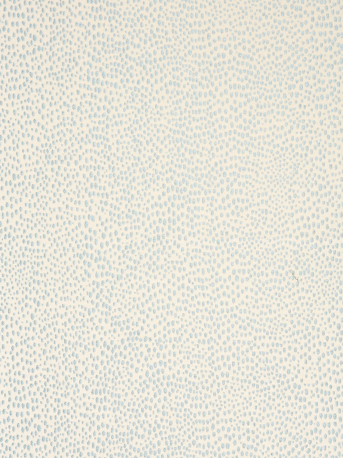 Raindrop - Mineral - Scalamandre Fabric