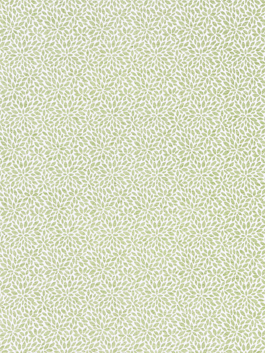 Risa Weave - Fern - Scalamandre Fabric