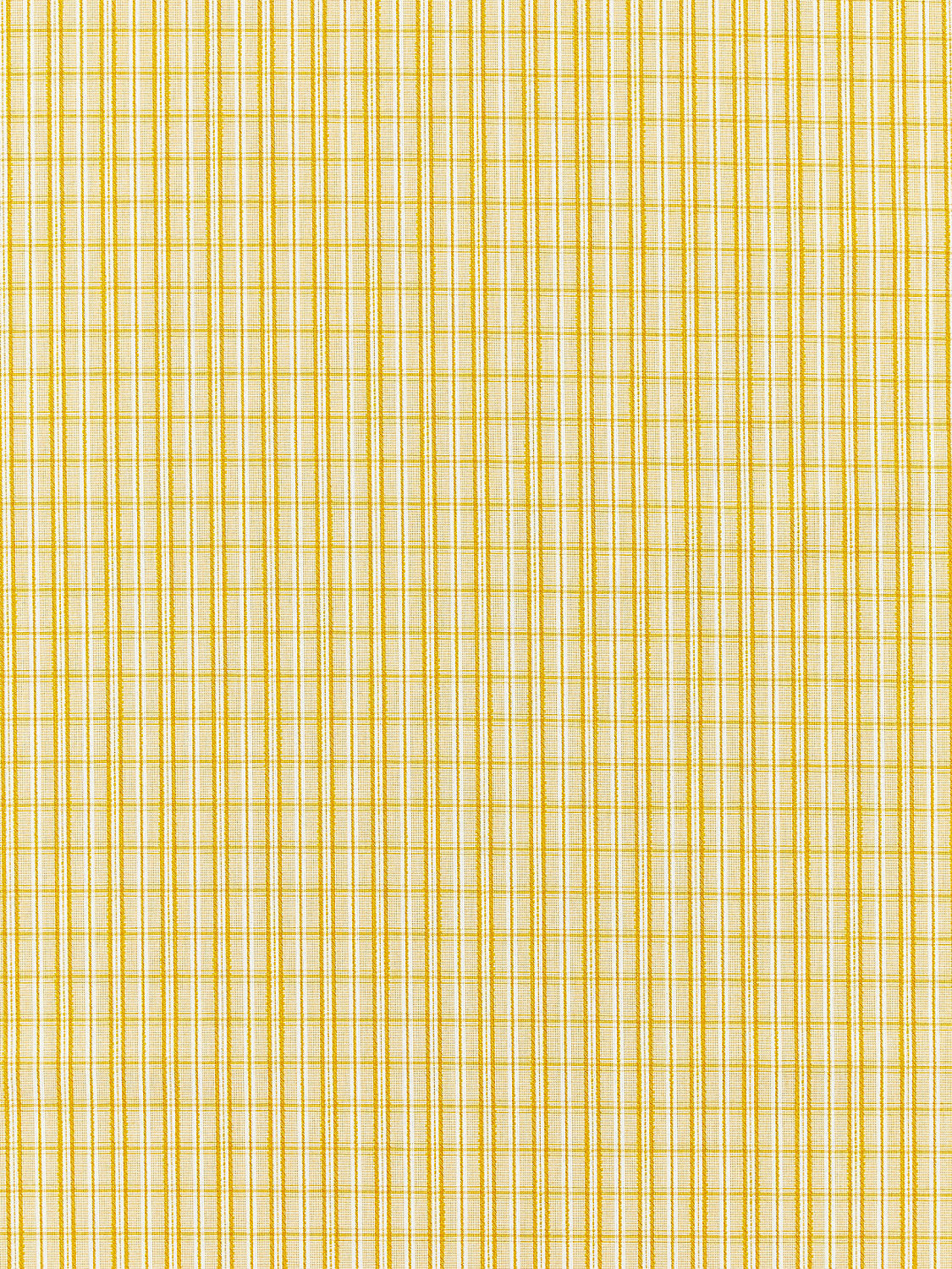 Check Please | Outdoor - Goldenrod - Scalamandre Fabric