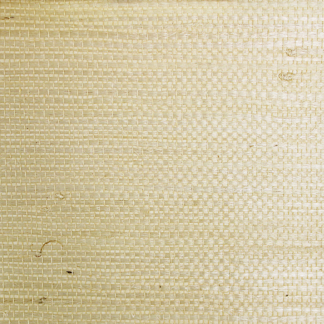 Tightweave Jute - Tan - Scalamandre Wallpaper