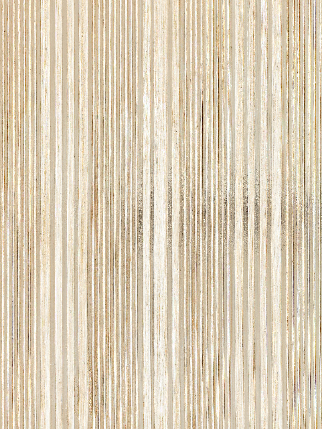 Pacific Stripe - Champagne