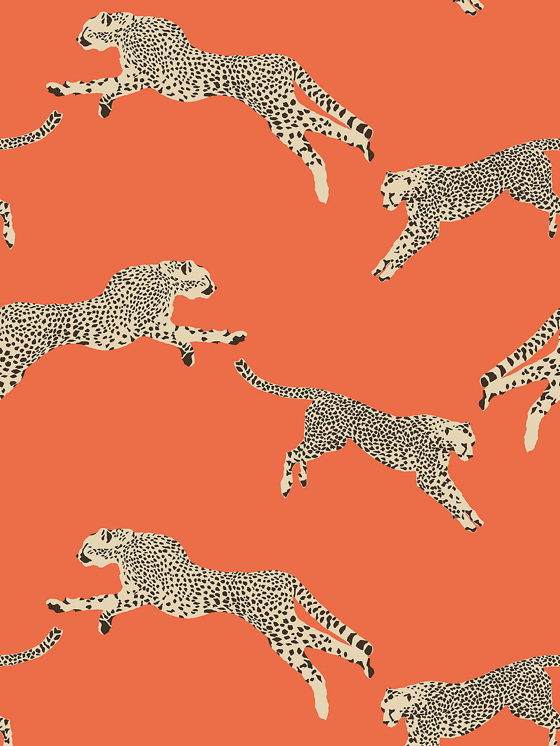 Leaping Cheetah - Clementine - Scalamandre Wallpaper