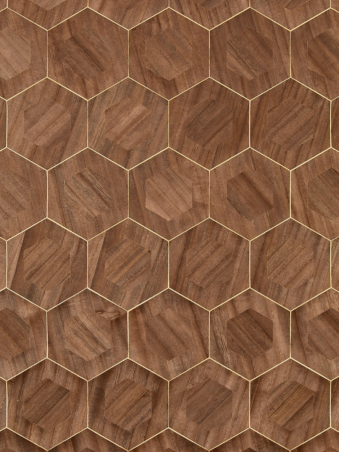Hexad - Hazelnut