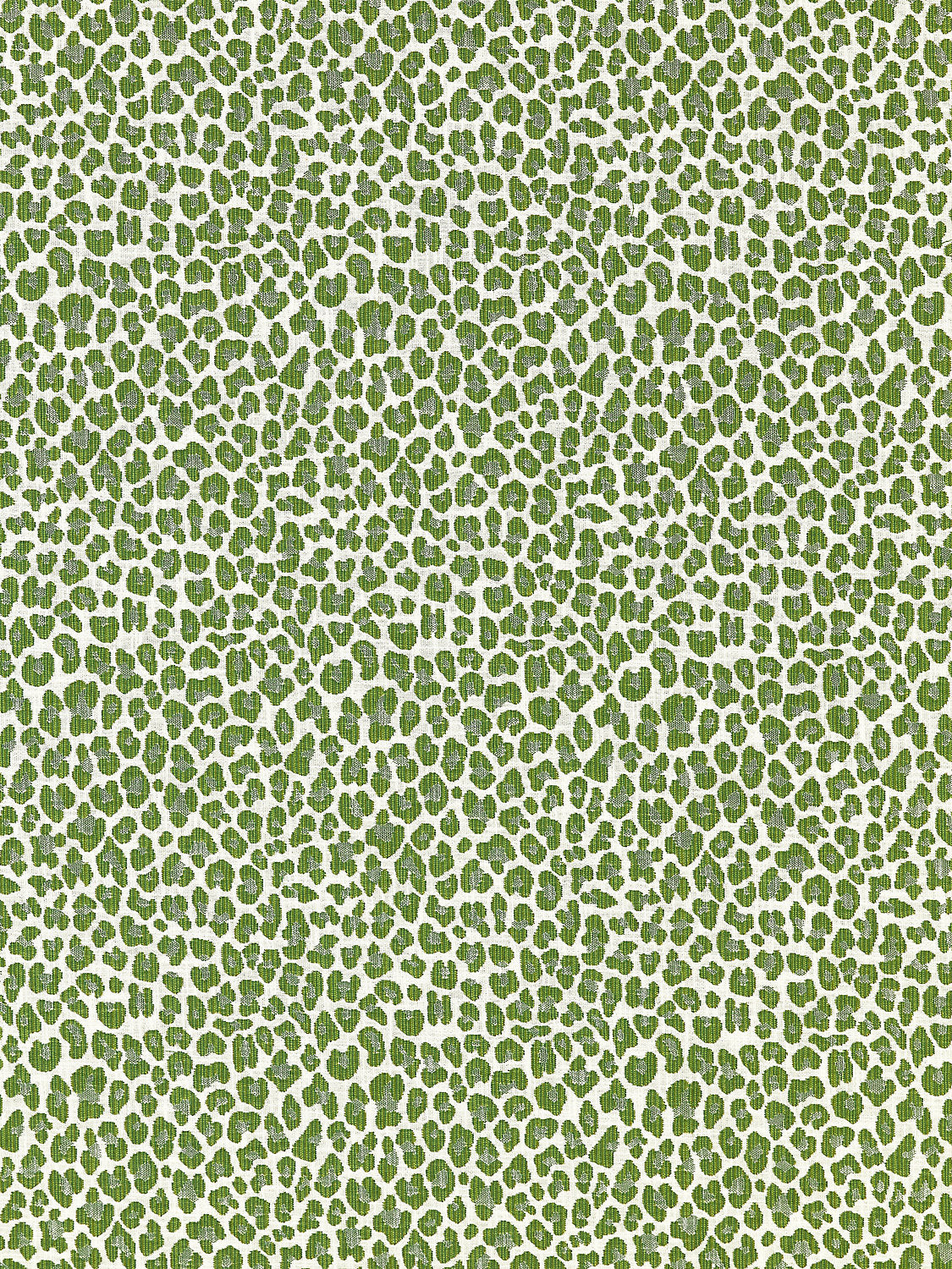 Backyard Bengal - Ivy - Scalamandre Fabric