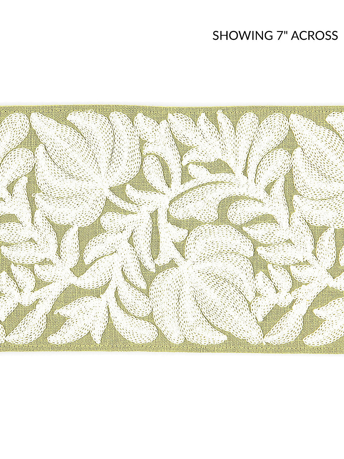 Coventry Embroidered Tape - Celery - Scalamandre Trim