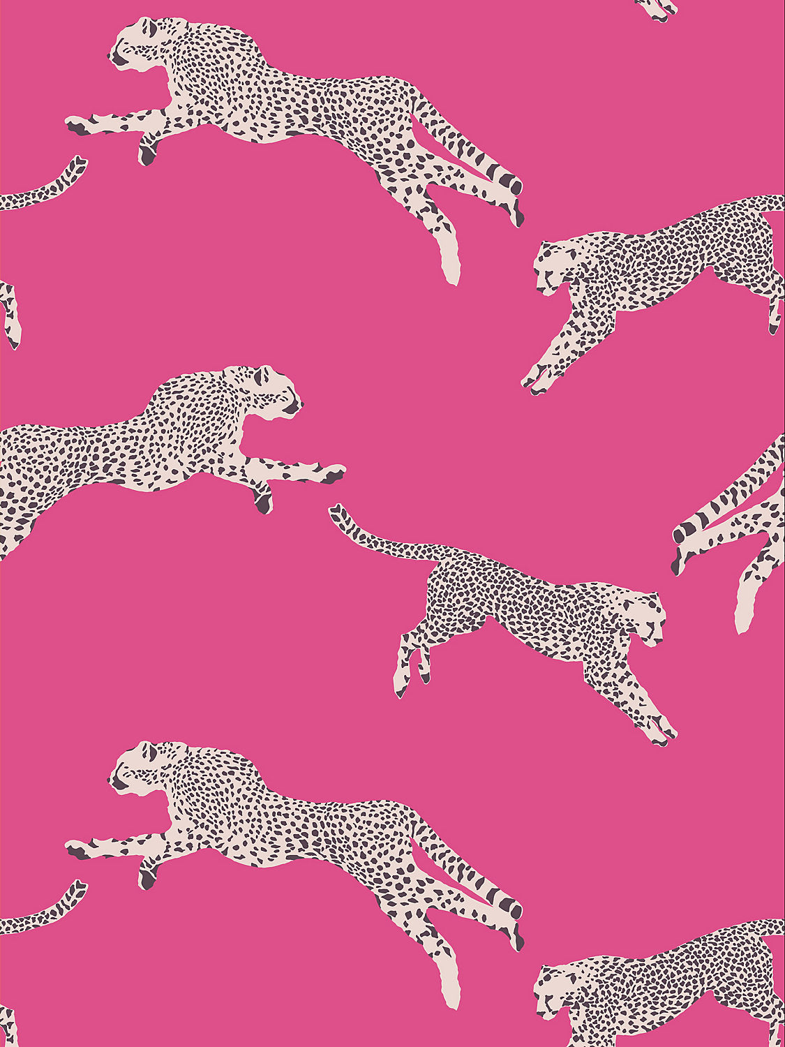Leaping Cheetah - Bubblegum