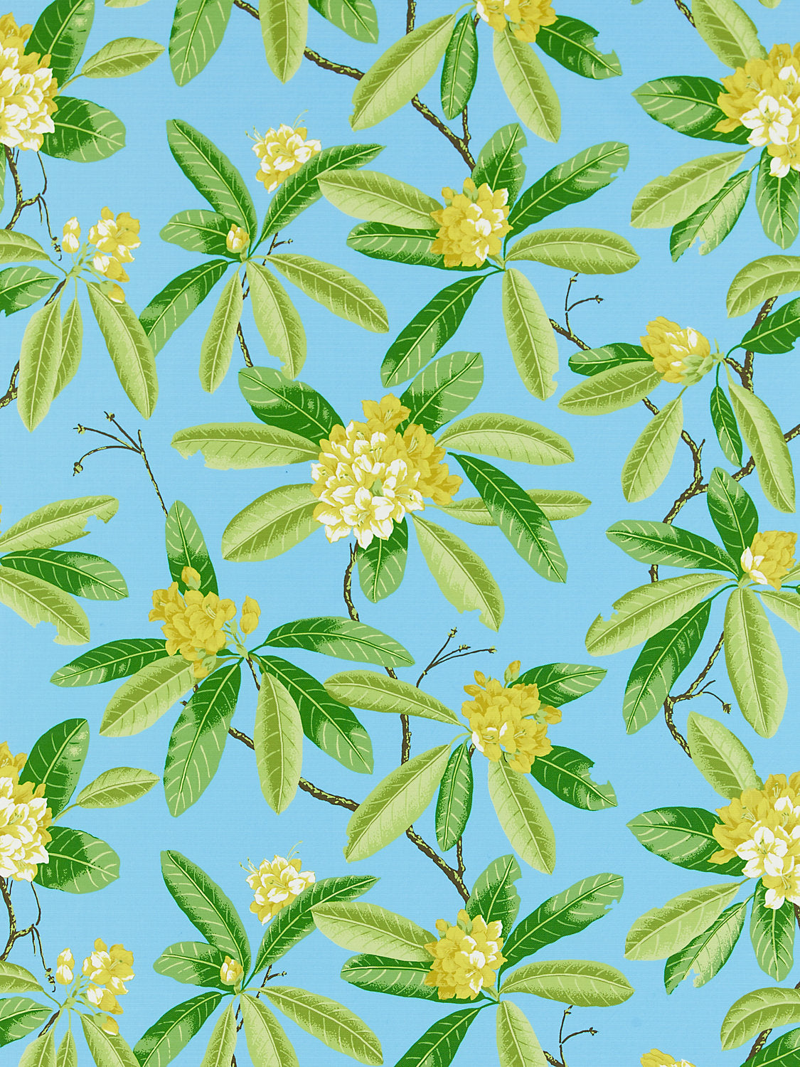 Rhododendron | Outdoor - Carolina - Scalamandre Fabric