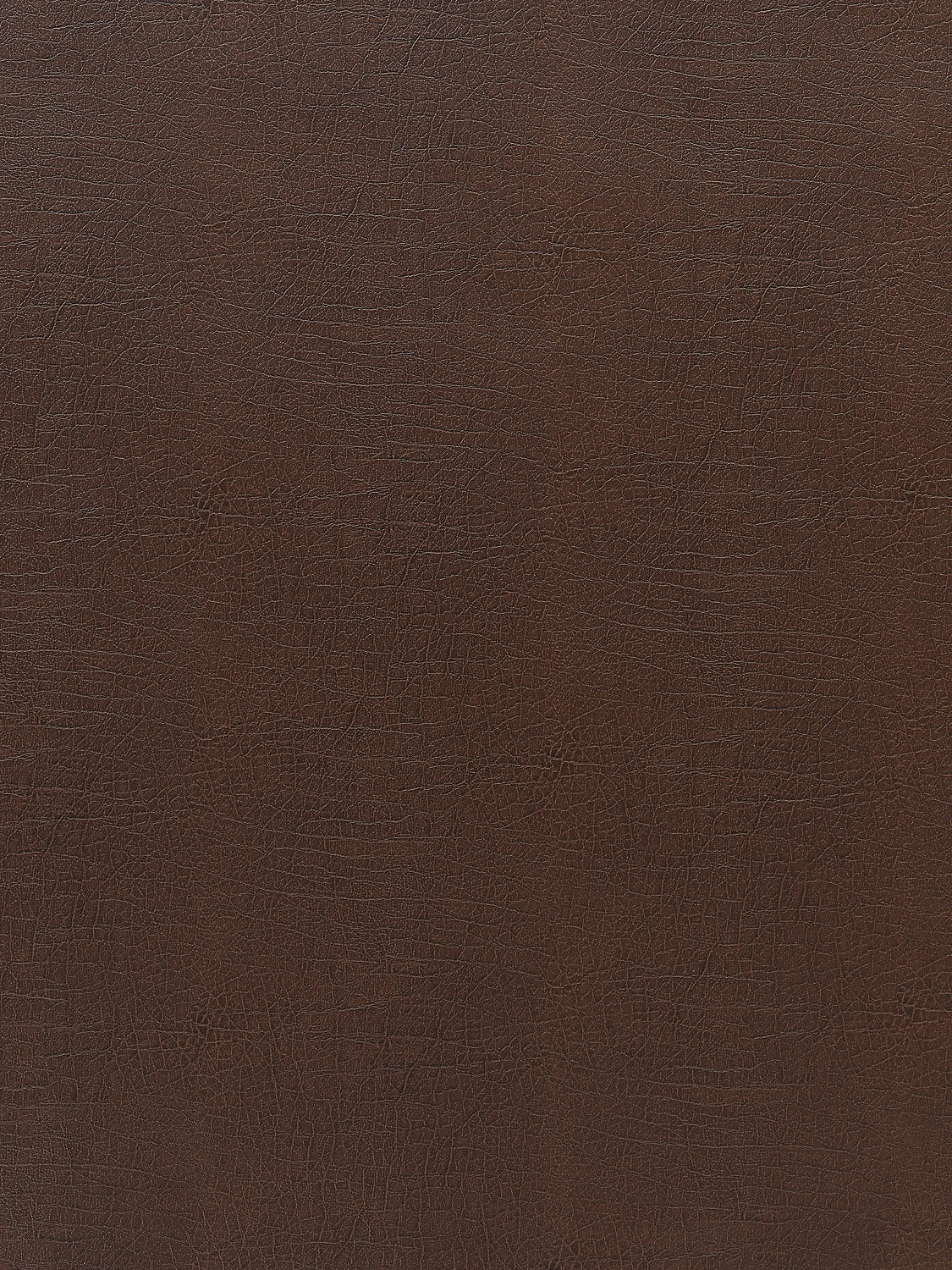 Cary - Chicory - Scalamandre Fabric