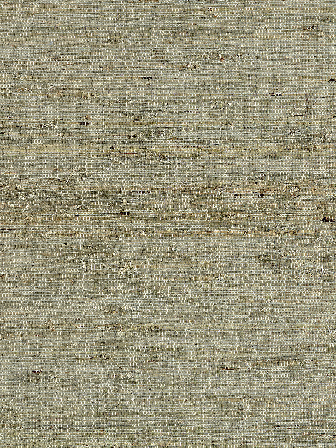 Arrowroot Weave - Water - Scalamandre Wallpaper