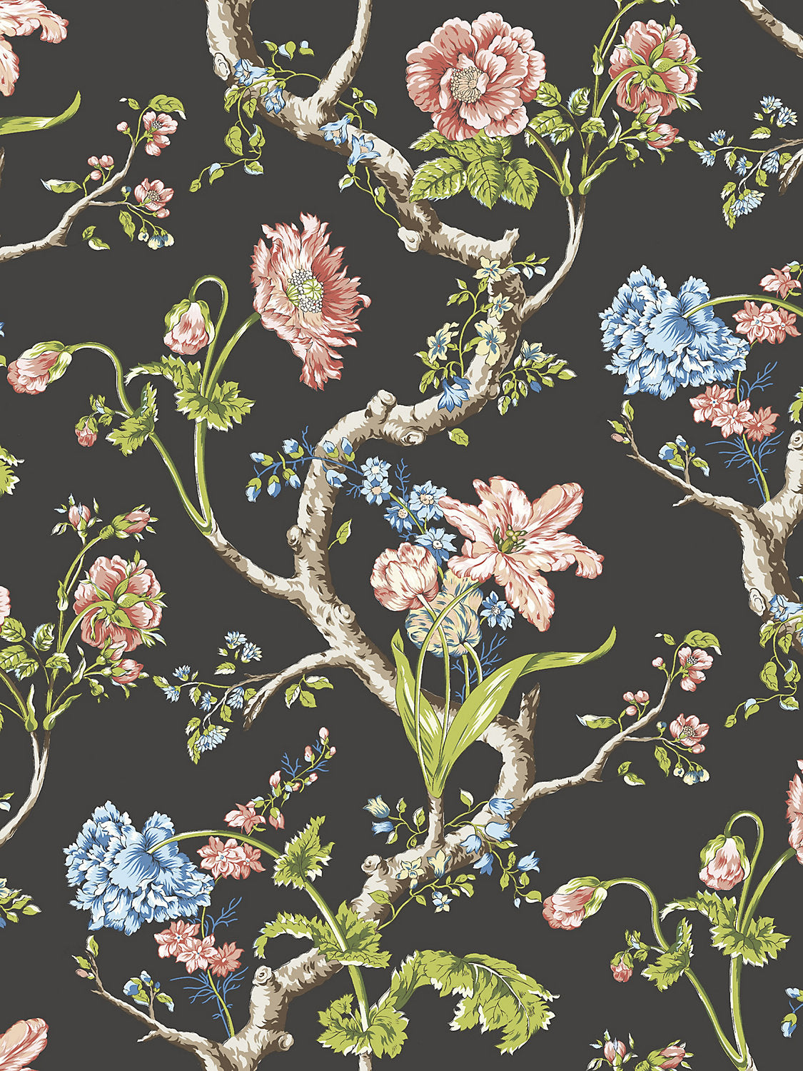 Andrew Jackson Floral - Noir