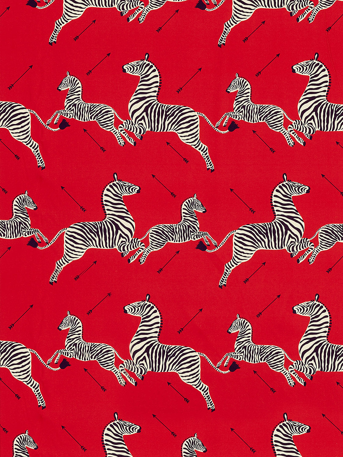 Zebras Petite - Masai Red