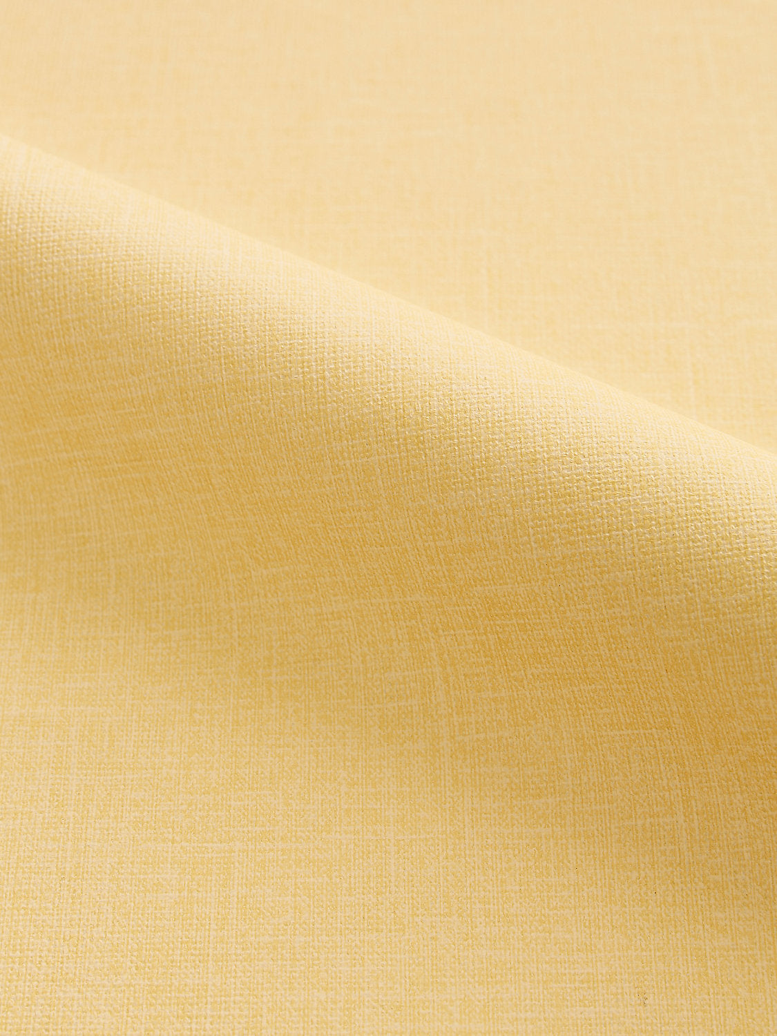 Katharine - Butter - Scalamandre Fabric