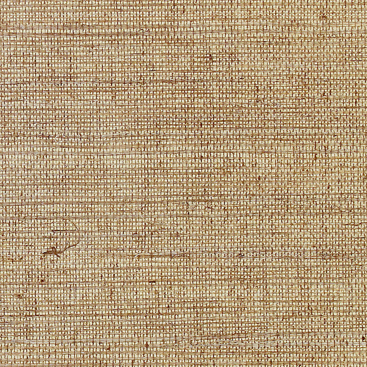 Sisal - Sequoia