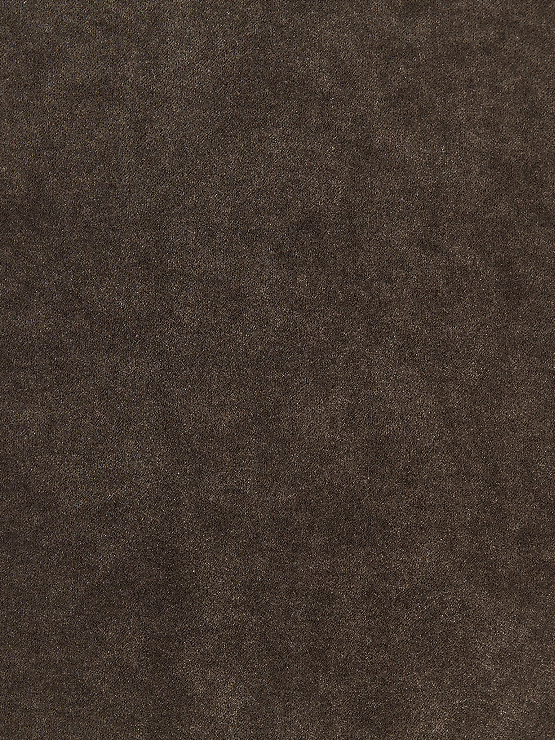 Aurora Velvet - Sable - Scalamandre Fabric