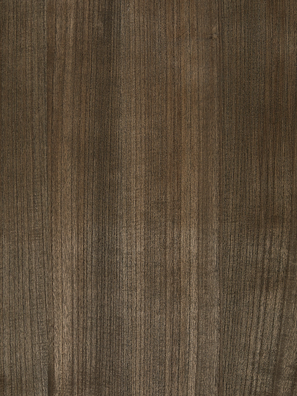 Woodgrain - Mushroom - Scalamandre Wallpaper