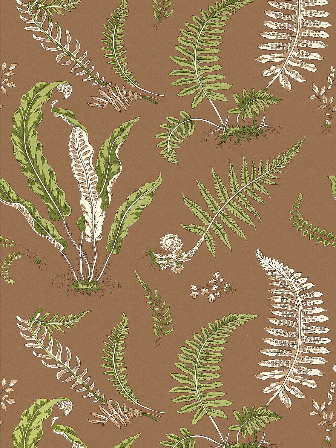Elsie De Wolfe Wallcovering - Greens On Brown - Scalamandre Wallpaper