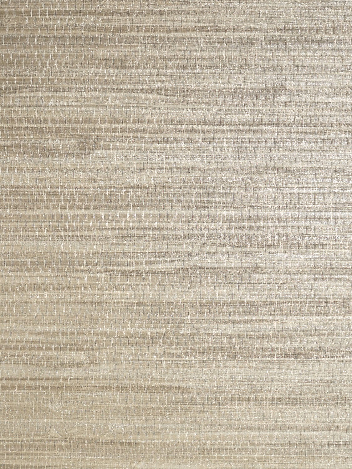 Pampas - Driftwood