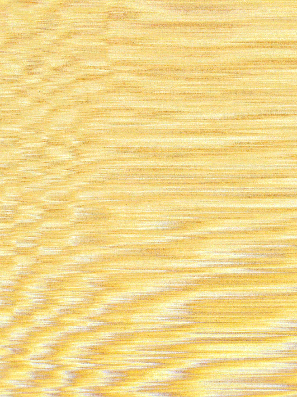 Riva Moire - Limoncello - Scalamandre Fabric