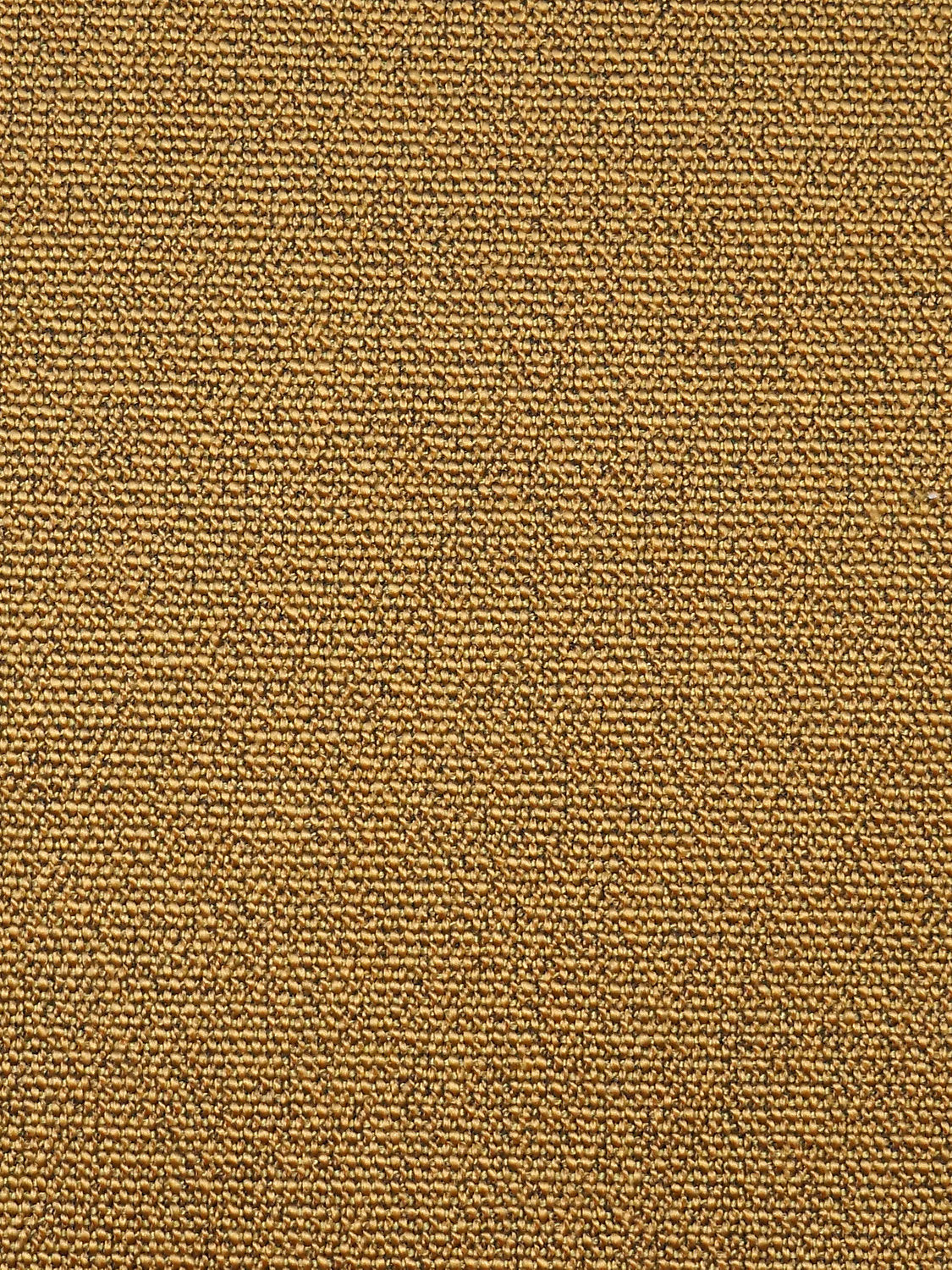 Boss Boucle - Butternut