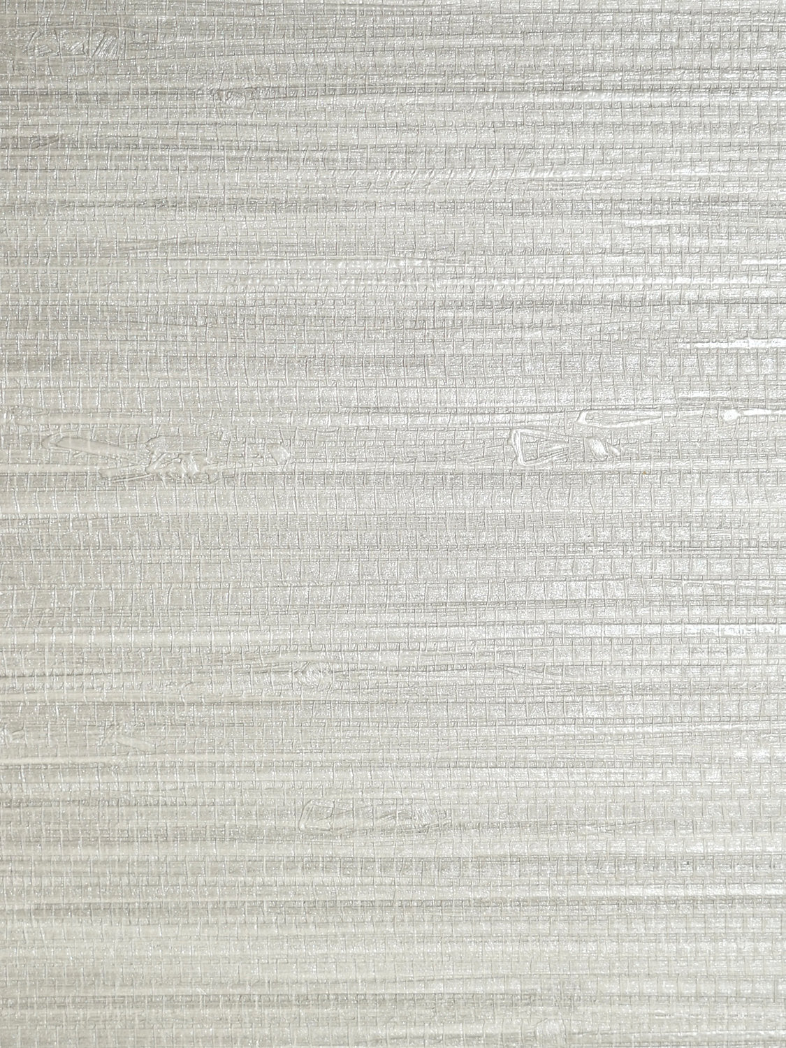 Pampas - Silver