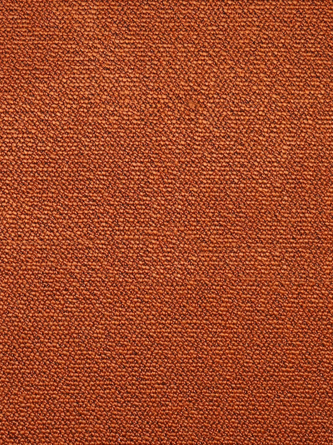 Boss Boucle - Barcelona