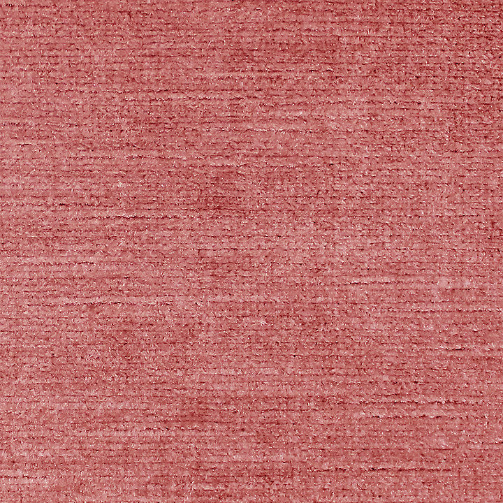 Persia - Rose