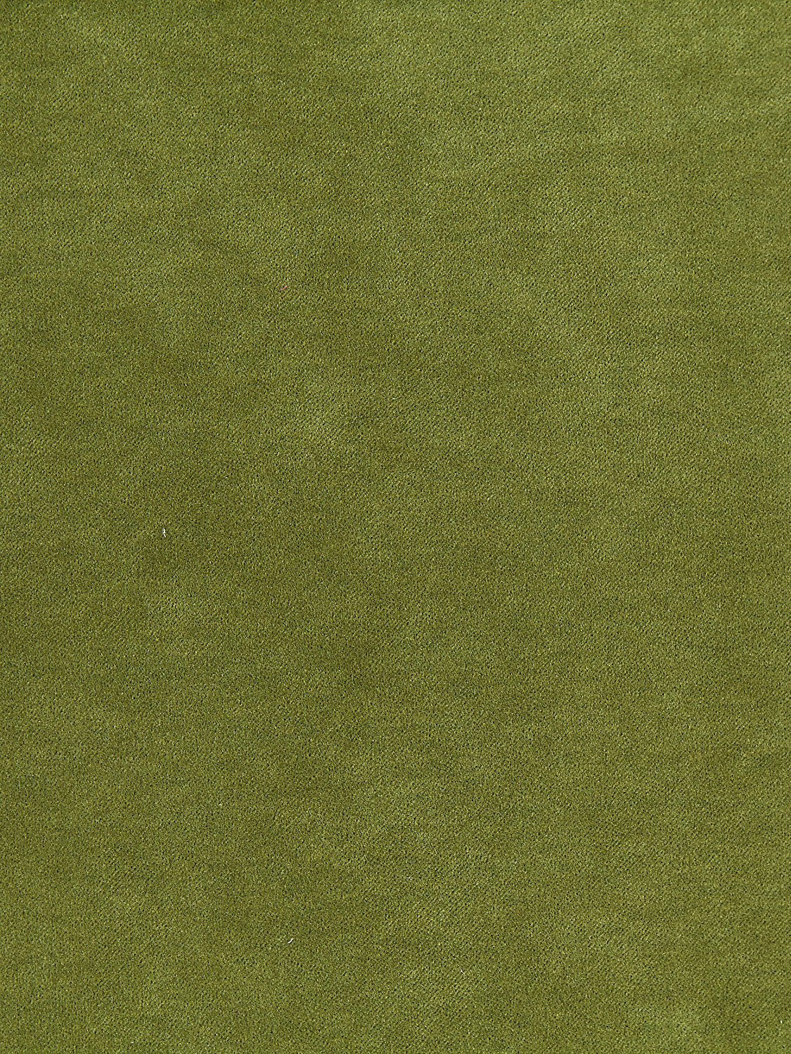 Aurora Velvet - Moss