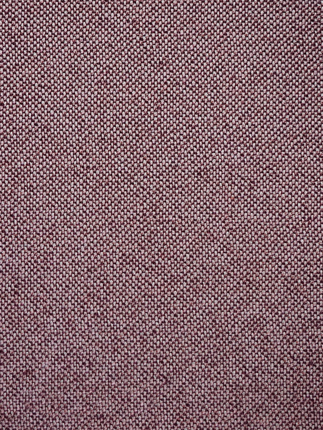 City Tweed - Lupine