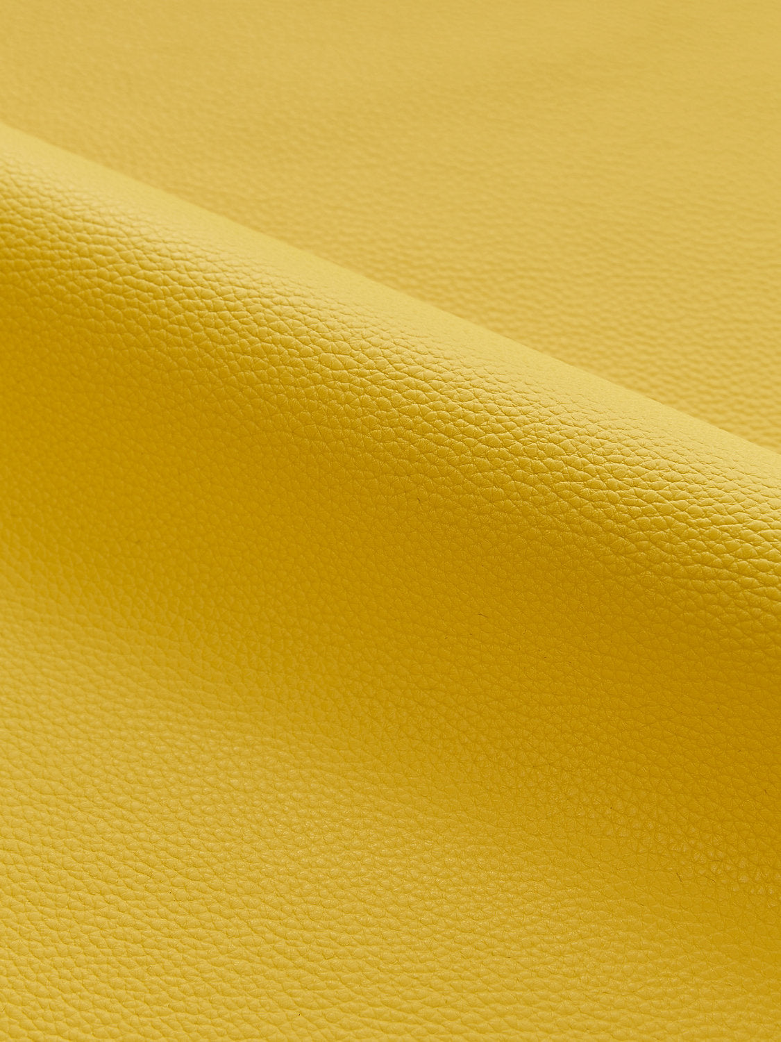 Lucille | Outdoor - Goldenrod