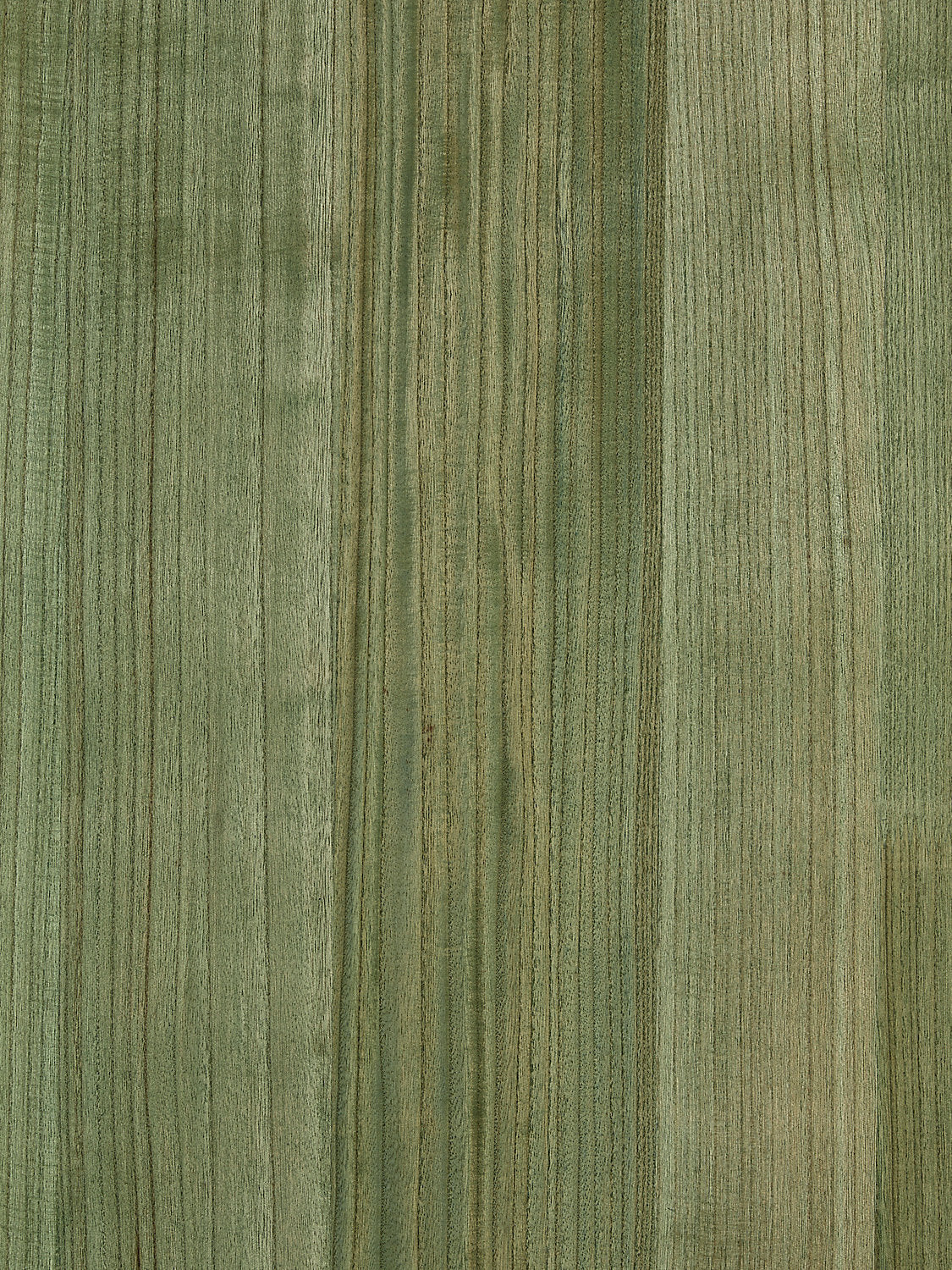 Woodgrain - Pear - Scalamandre Wallpaper