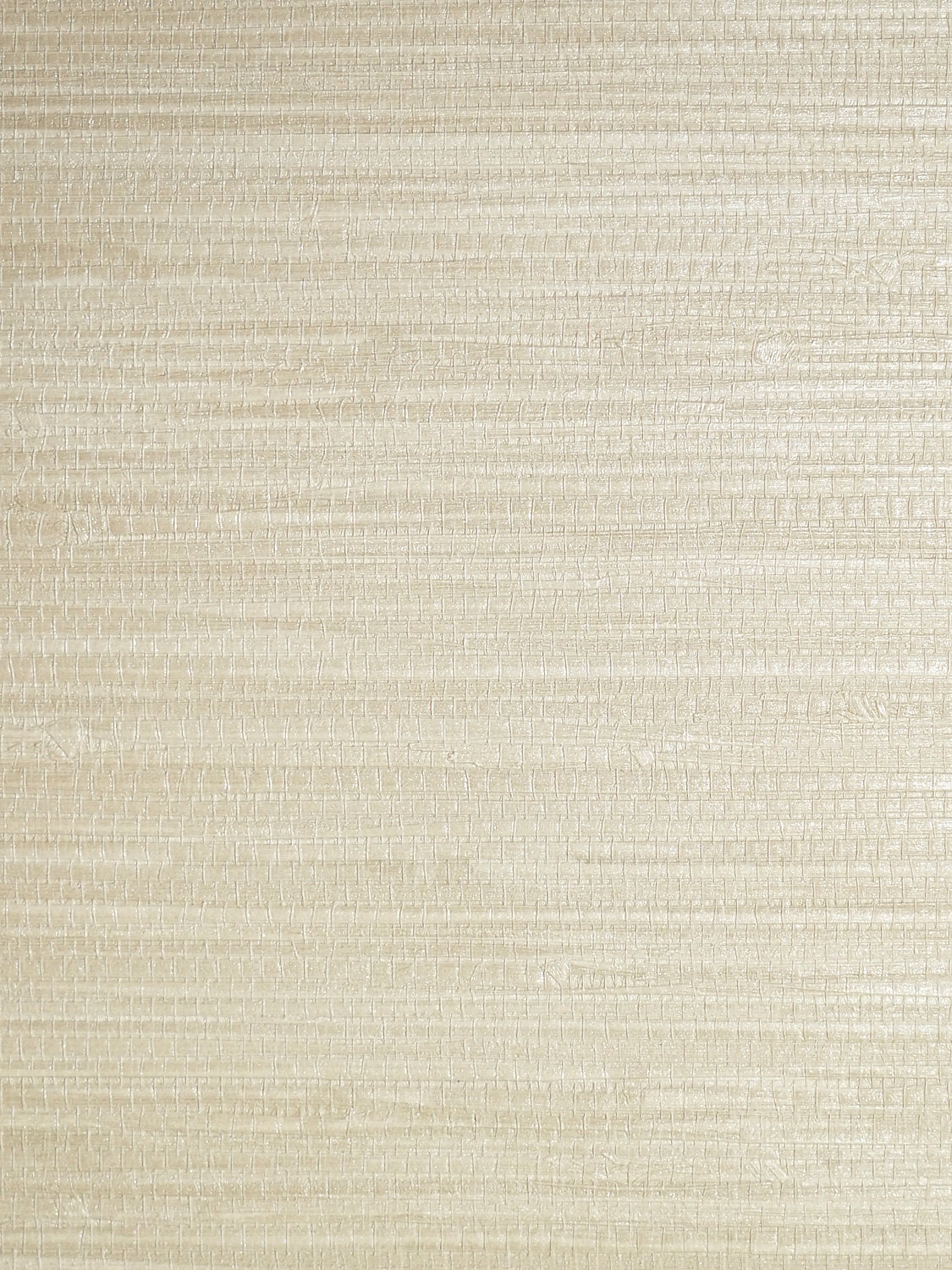 Pampas - Dune