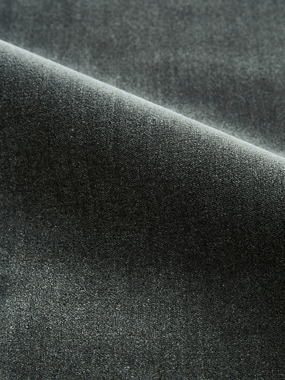 Porter - Wolf - Scalamandre Fabric