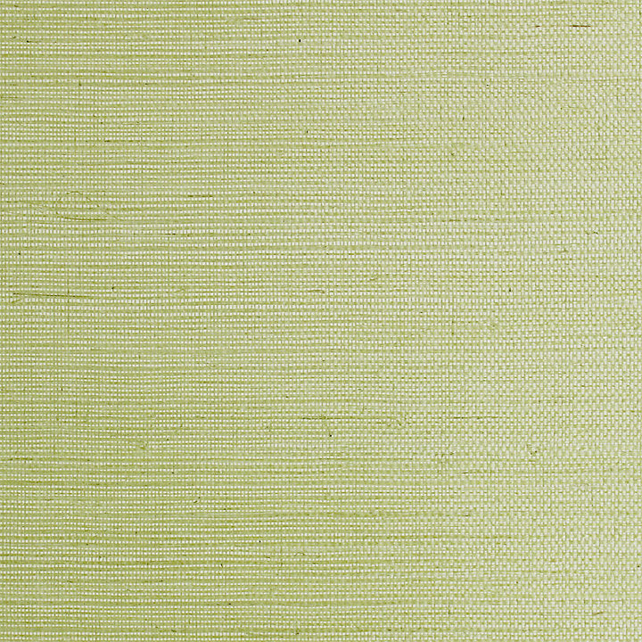 Sisal - Leaf - Scalamandre Wallpaper