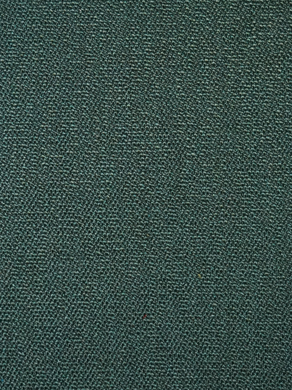Boss Boucle - Hedgerow