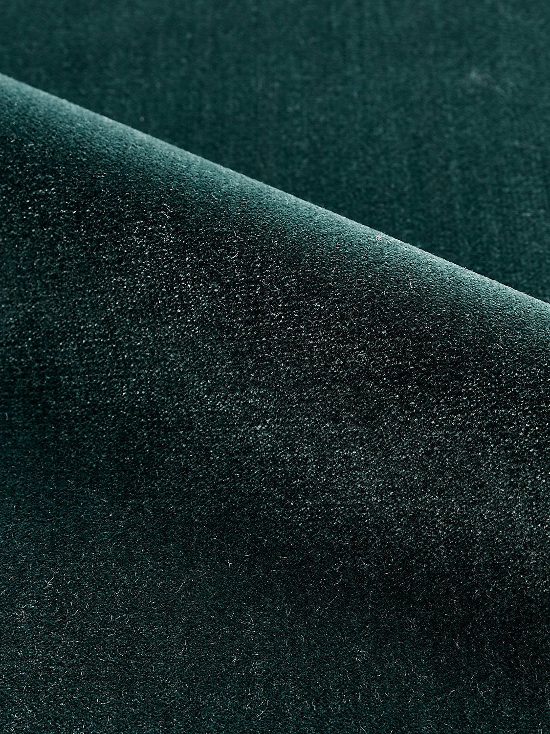 Porter - Forest - Scalamandre Fabric