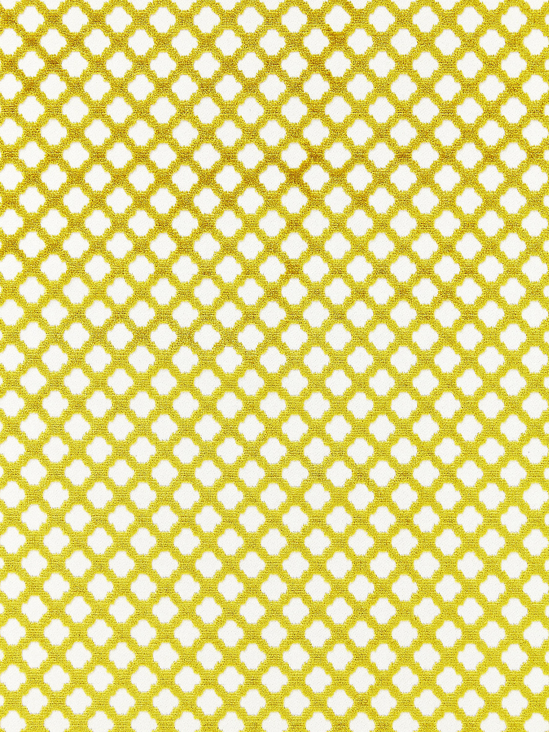 Pomfret - Chartreuse - Scalamandre Fabric