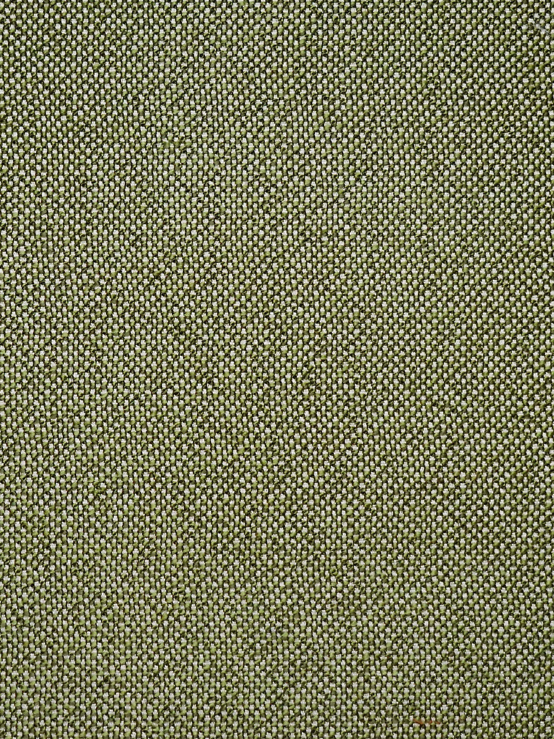 City Tweed - Bonsai
